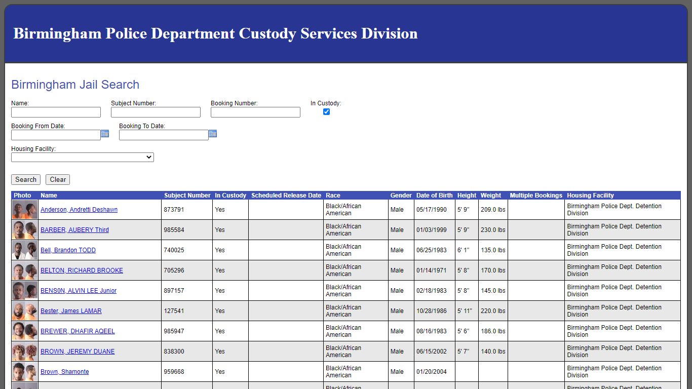 Birmingham Jail Search